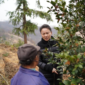 十年两会·温暖记忆｜“讲不完的油茶树故事，道不尽的鱼水情深”