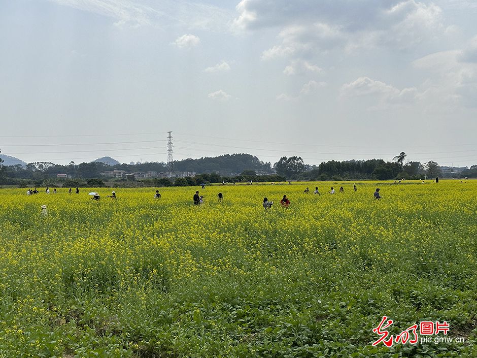 【高质量发展看中国】5G智慧农业 种出高质量好味“稻”