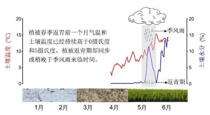 青藏高原草地为何返青提前、枯黄推迟？中科院团队“破案”了！