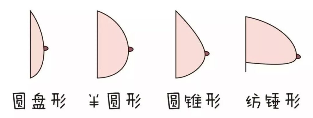 怎样正确测量胸围尺码_内衣尺码怎么换算