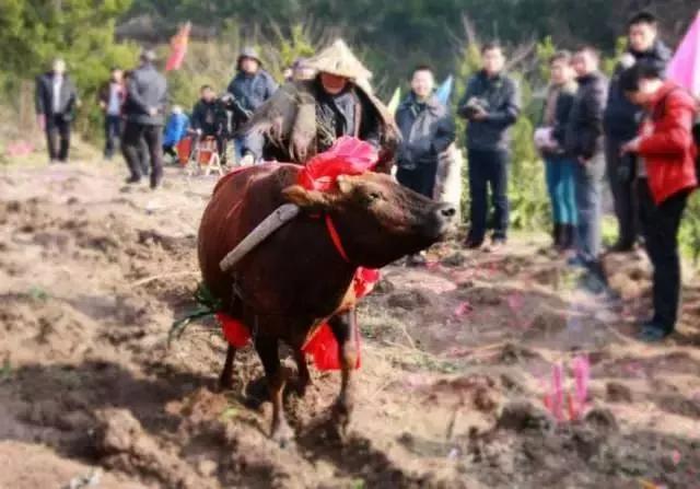 立春有什么讲究_躲春的正确方法