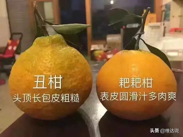 粑粑柑的功效_粑粑柑的作用