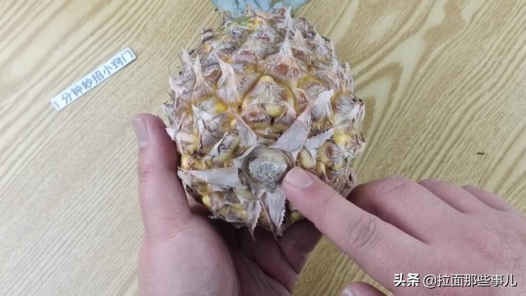 菠萝和凤梨有什么不同_菠萝和凤梨的差别