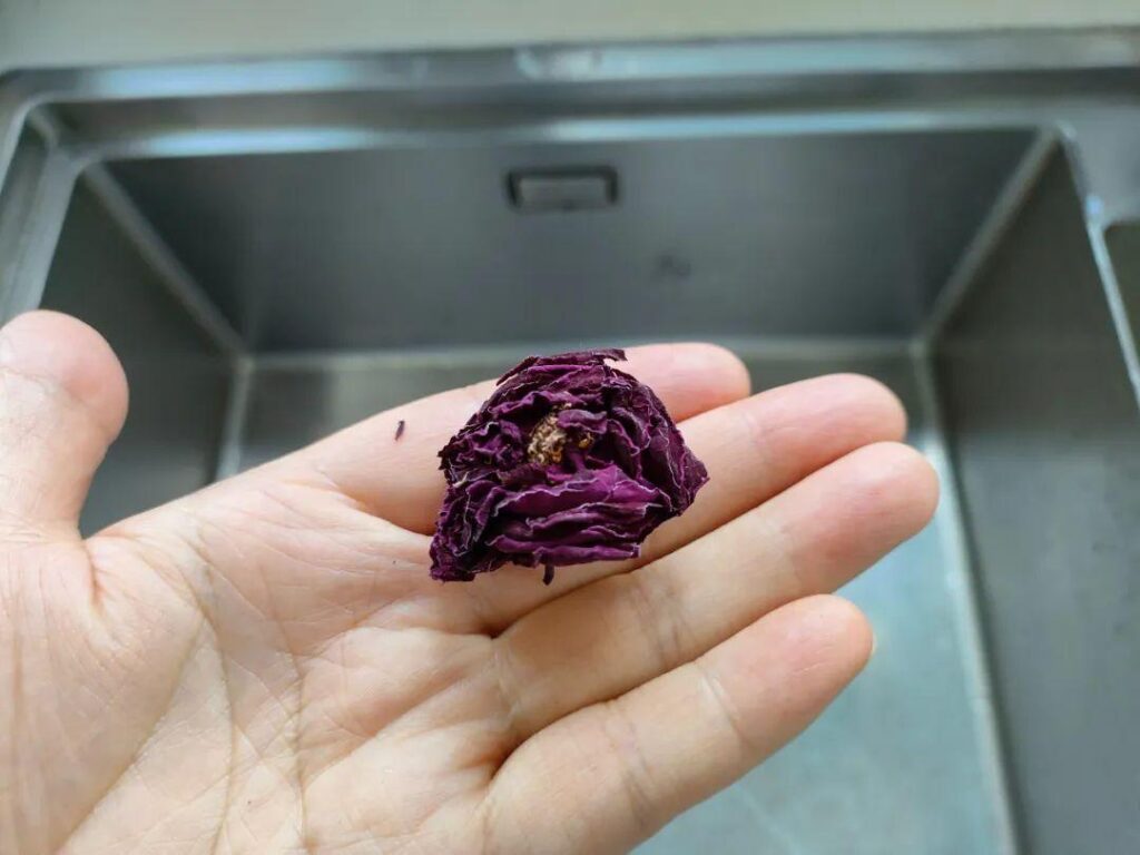 玫瑰花茶怎么泡才正确_玫瑰花茶怎么保存