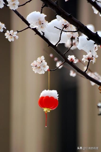 什么叫双春年_双春年的说法