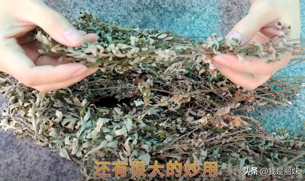 艾草有什么作用_艾草的作用