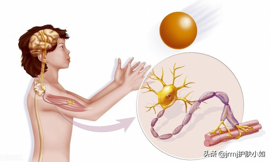 怎样确认皮肤是否是敏感肌_敏感肌的自测方法