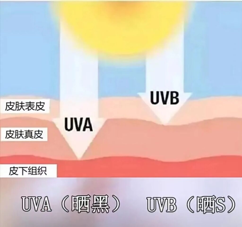 防晒霜需要每天涂抹吗_防晒霜如何选择