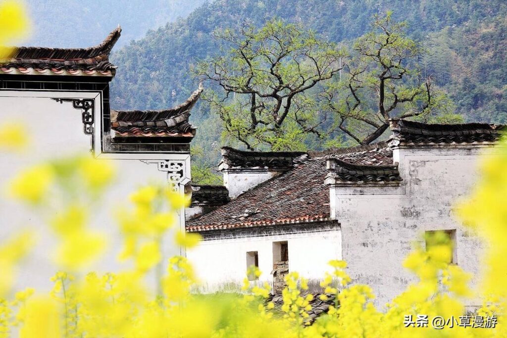 春日赏花适合去哪里_春日赏花旅行的必去之地