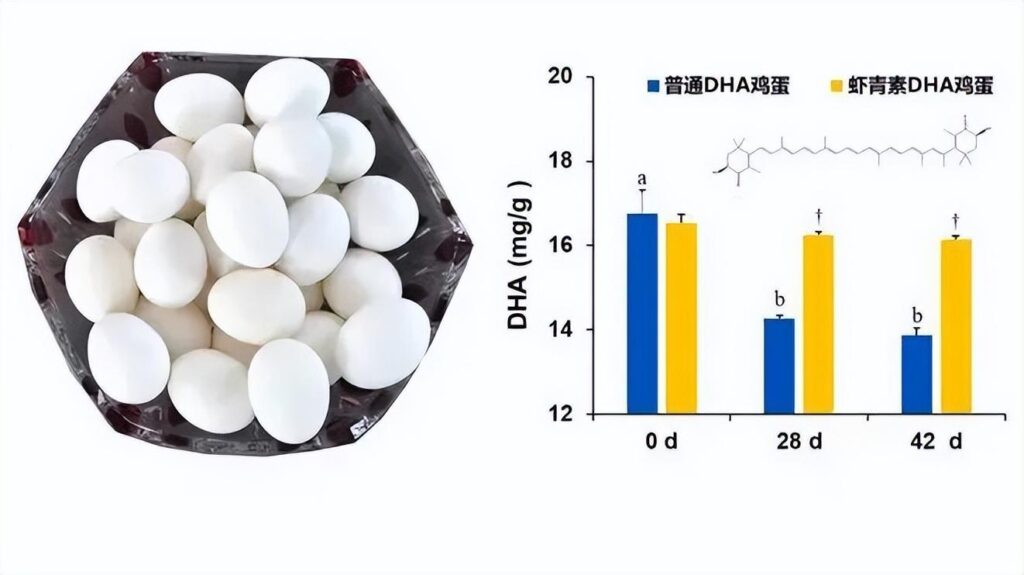 鸡蛋是怎么形成的_鸡蛋的形成的秘密