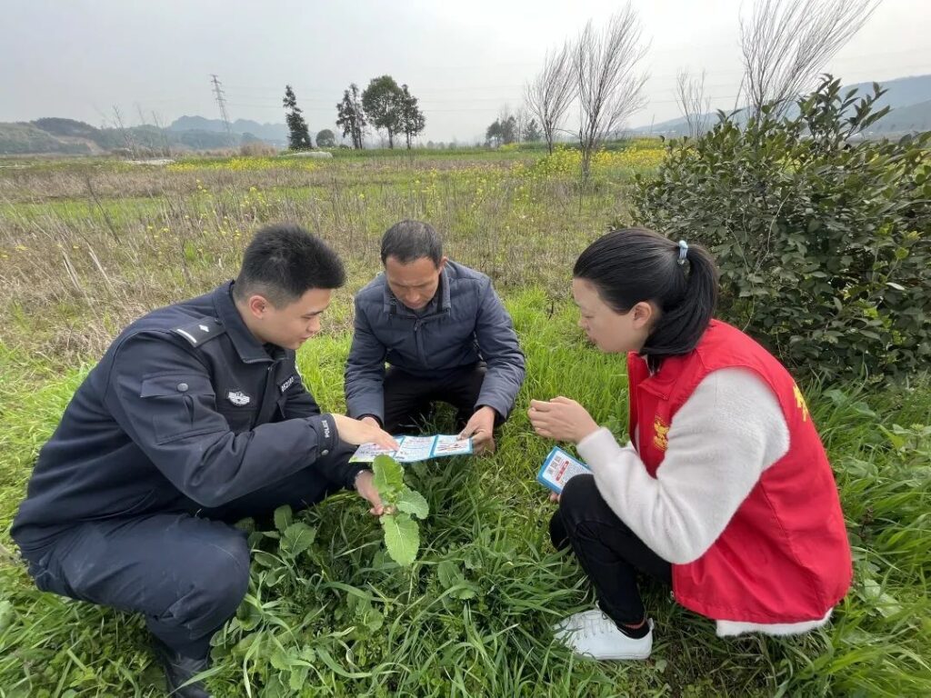 万物随春醒，禁毒正当时——杨桥镇开展春季“禁种铲毒”排查行动