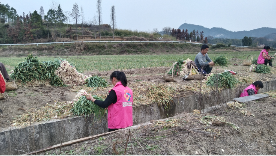 雷锋月活动，操场乡在行动