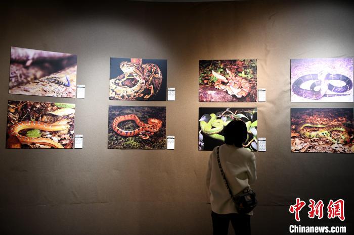 世界野生动植物日：福建举办野生动植物保护科普展