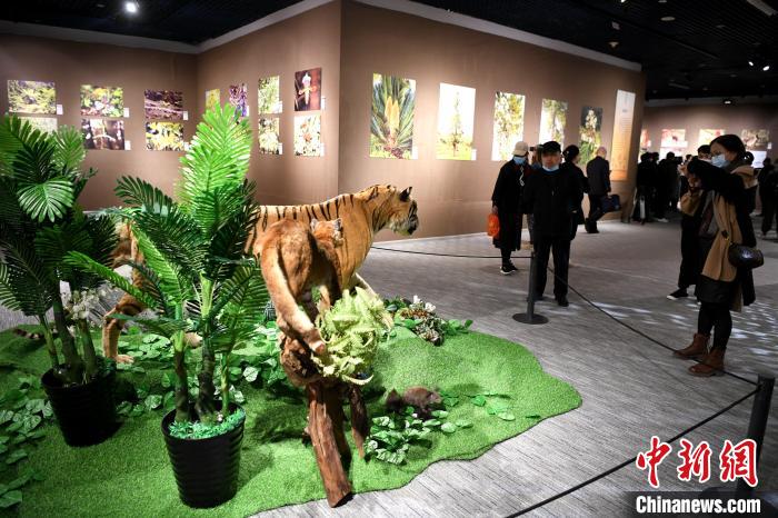 世界野生动植物日：福建举办野生动植物保护科普展