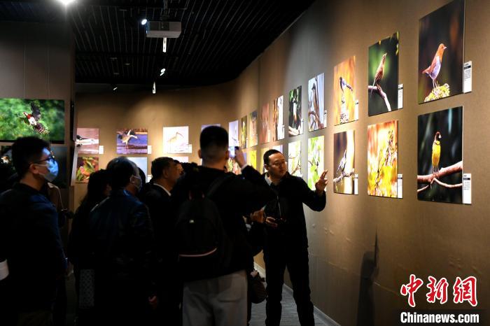 世界野生动植物日：福建举办野生动植物保护科普展