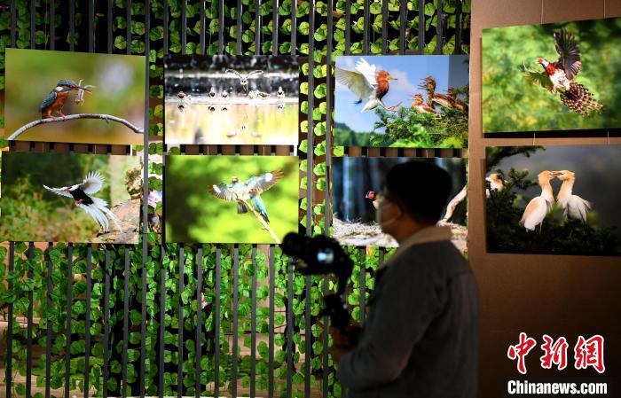 世界野生动植物日：福建举办野生动植物保护科普展