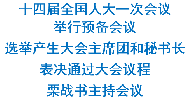 十四届全国人大一次会议举行预备会议