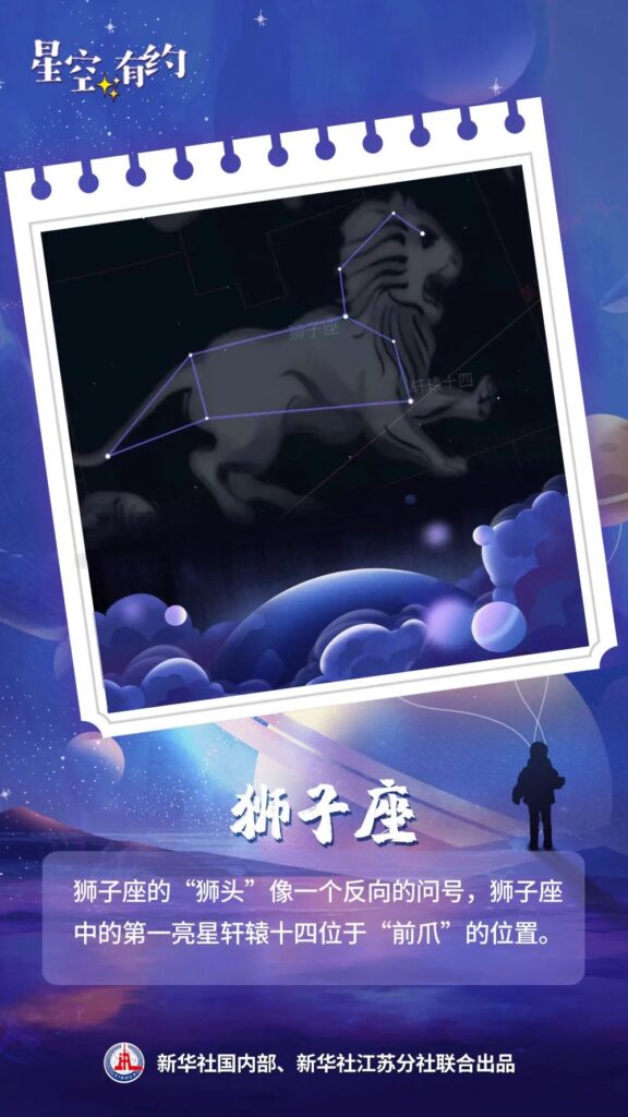 这些“明星”，别错过