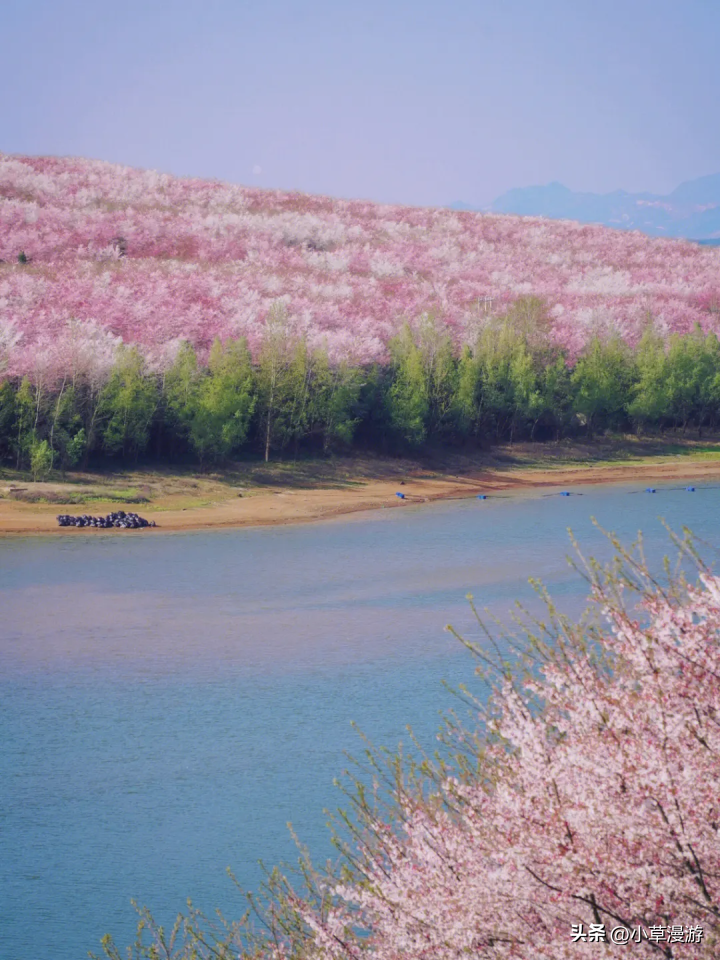 春日赏花适合去哪里_春日赏花旅行的必去之地