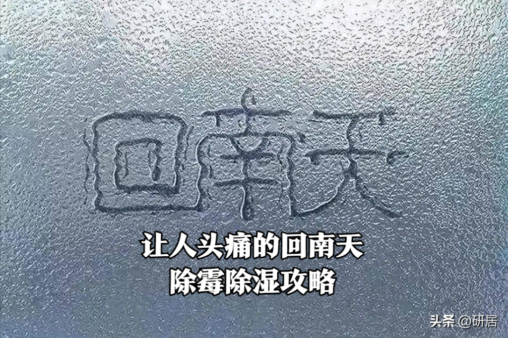 室内怎样防潮比较有效_室内如何做到防潮去湿