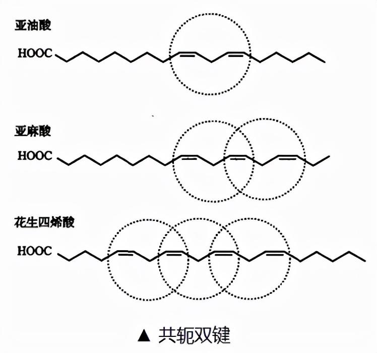 什么是反式脂肪酸_关于反式脂肪酸的相关解答