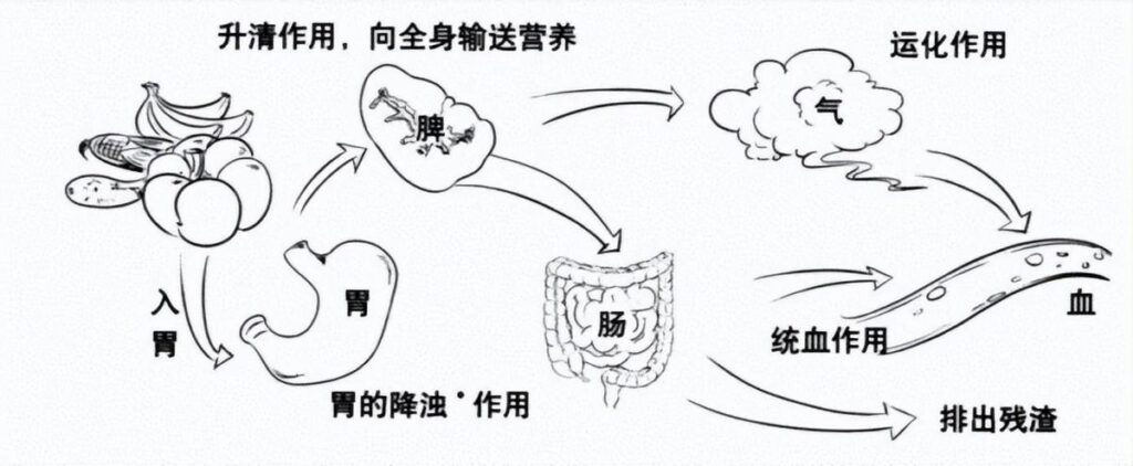 为什么便秘一直反复_便秘一直反复的原因