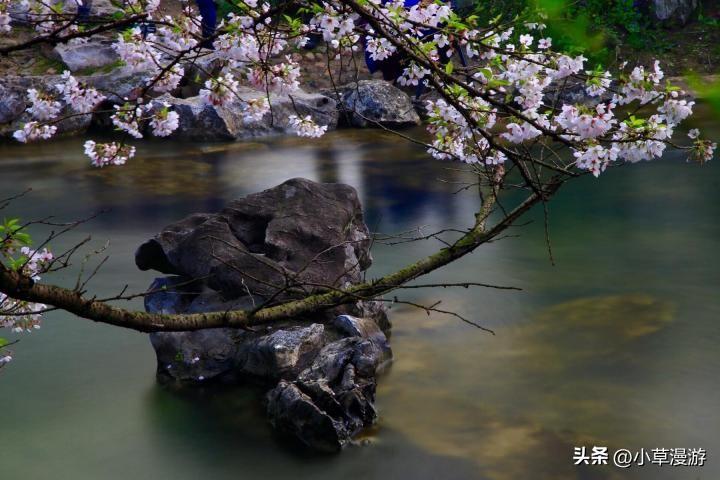 春天去哪里旅行_分享三个最浓春日之美的地方