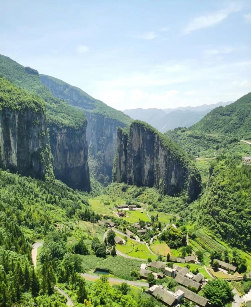 什么是巫山脆李_巫山脆李为什么那么贵