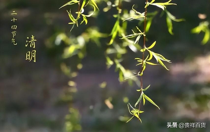 23年清明节冷不冷_清明节为什么经常下雨