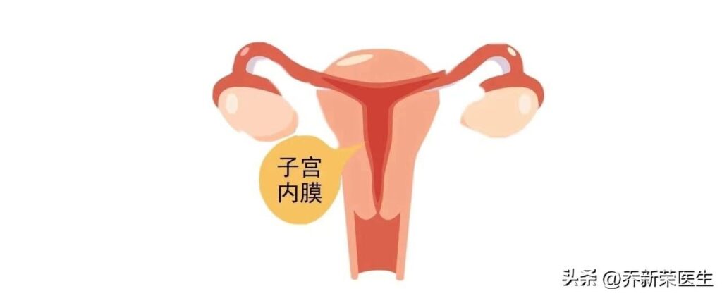 子宫内膜厚度是多少_致使子宫内膜变薄的因素