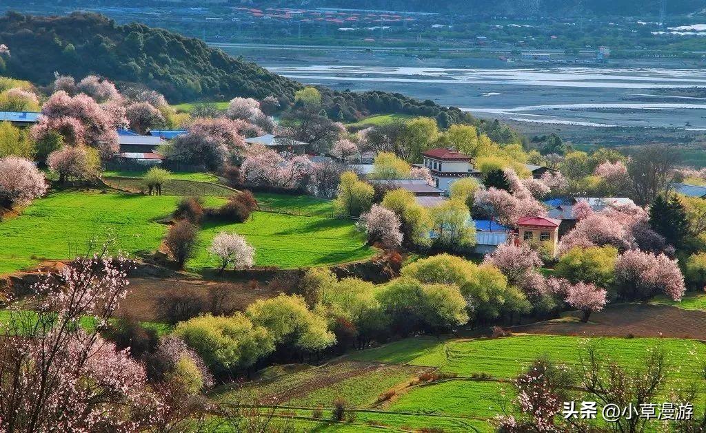 春日赏花适合去哪里_春日赏花旅行的必去之地