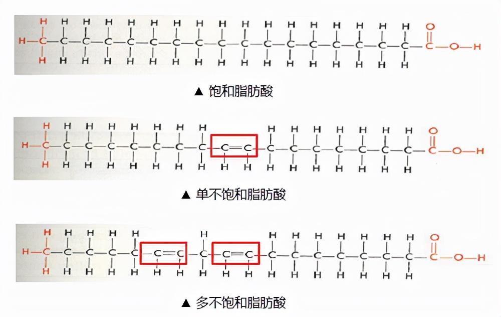 什么是反式脂肪酸_关于反式脂肪酸的相关解答