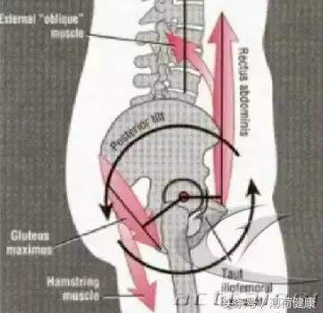 如何判断自己的型腿_小腿外扩的原因