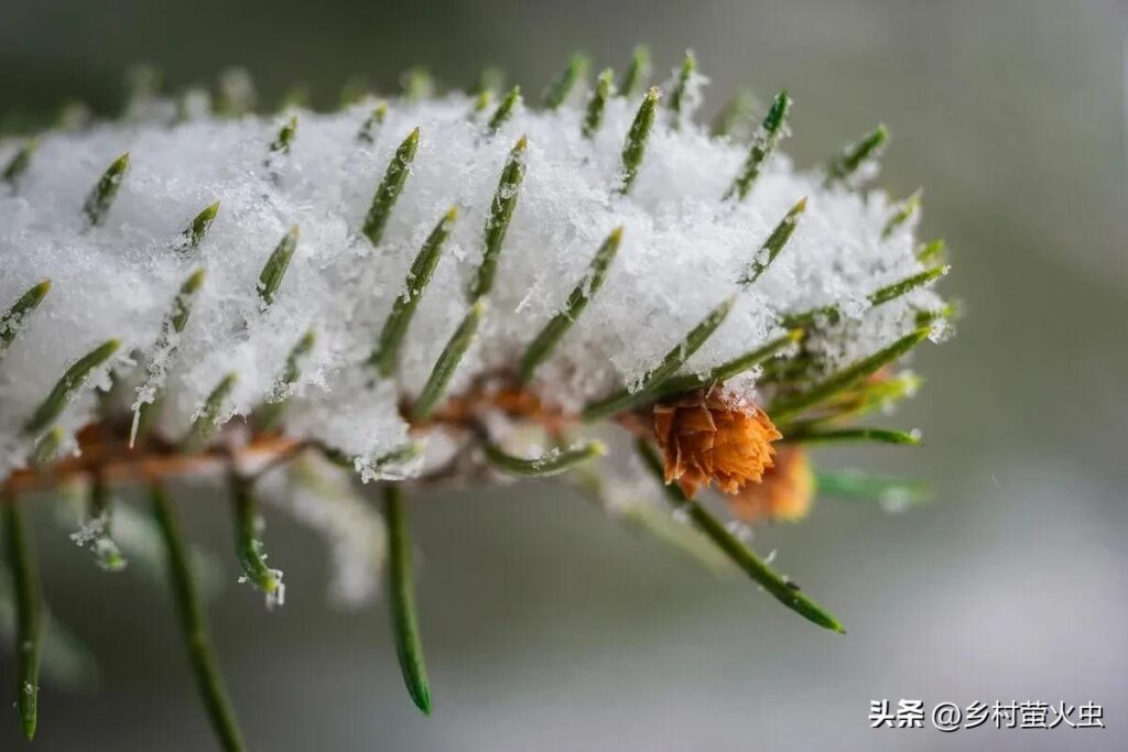 春脖子有多少天_怎么抵御倒春寒