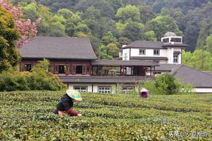 春天去哪里旅行_分享三个最浓春日之美的地方