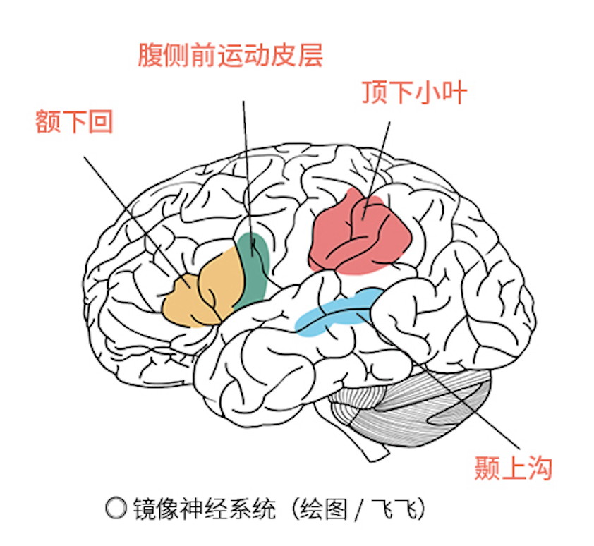 泪点低是怎么回事_泪点低的原理