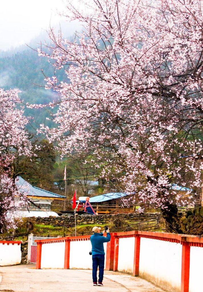 西藏哪个季节的风景最好_西藏的四季