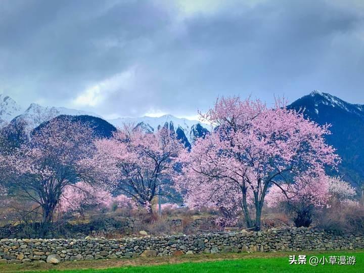 春天去哪里旅行_分享三个最浓春日之美的地方