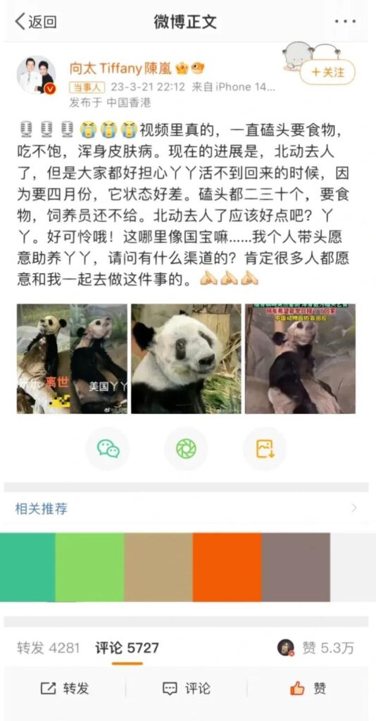 丫丫吃甘蔗津津有味