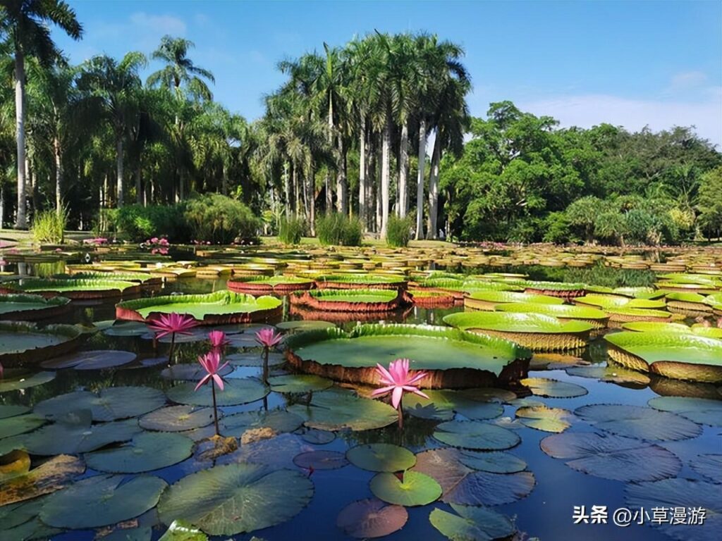 云南有哪些景点好玩_云南最值得一去的旅游景点