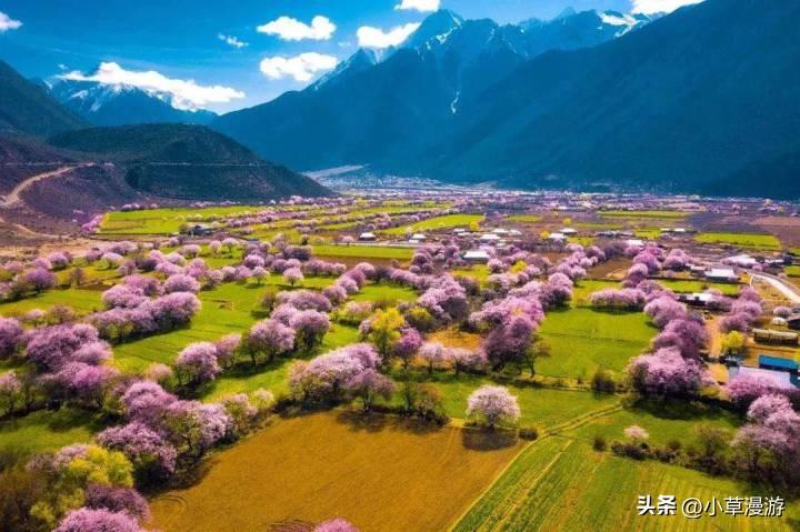 春天去哪里旅行_分享三个最浓春日之美的地方