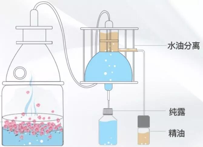 为什么会长粉刺_什么是闭口粉刺