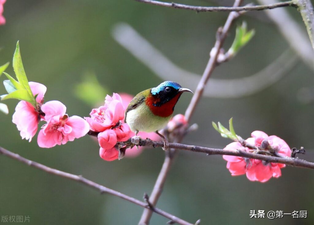 立春有什么讲究吗_立春的讲究和习俗