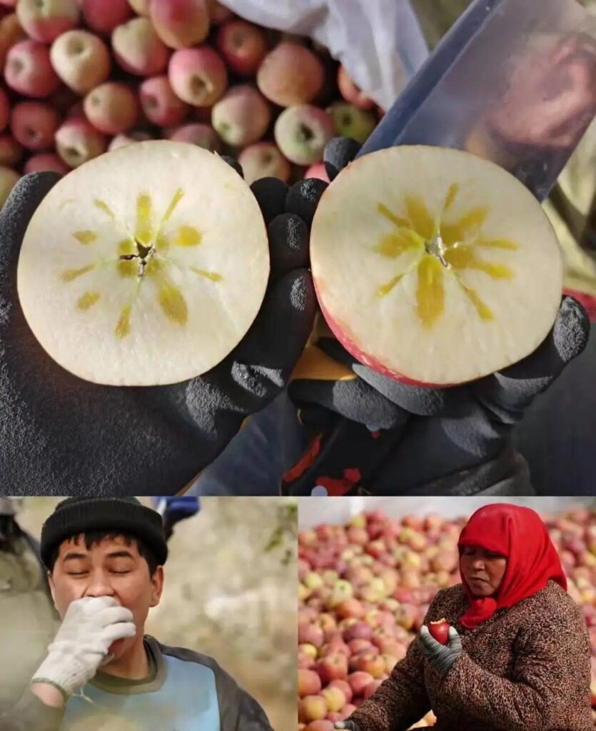 新疆有哪些美食_新疆的瓜果为什么那么甜