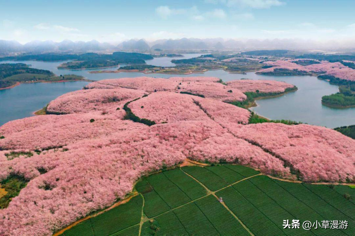 春日赏花适合去哪里_春日赏花旅行的必去之地