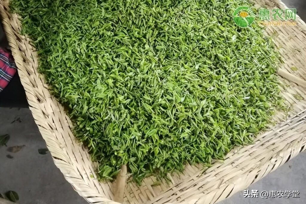 茶叶的保质期是多久_茶叶的保质期限