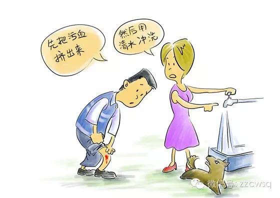 被宠物抓伤是否会得狂犬病?专家解答