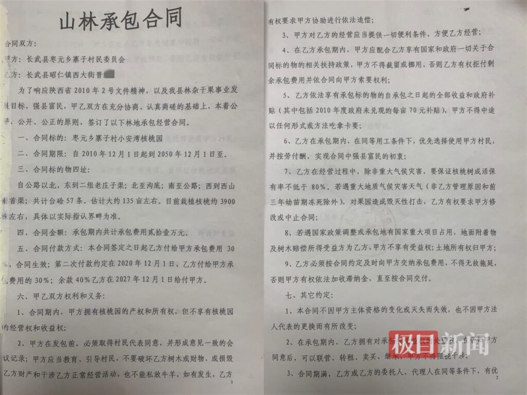 官方谈百亩核桃树被砍：成立调查组