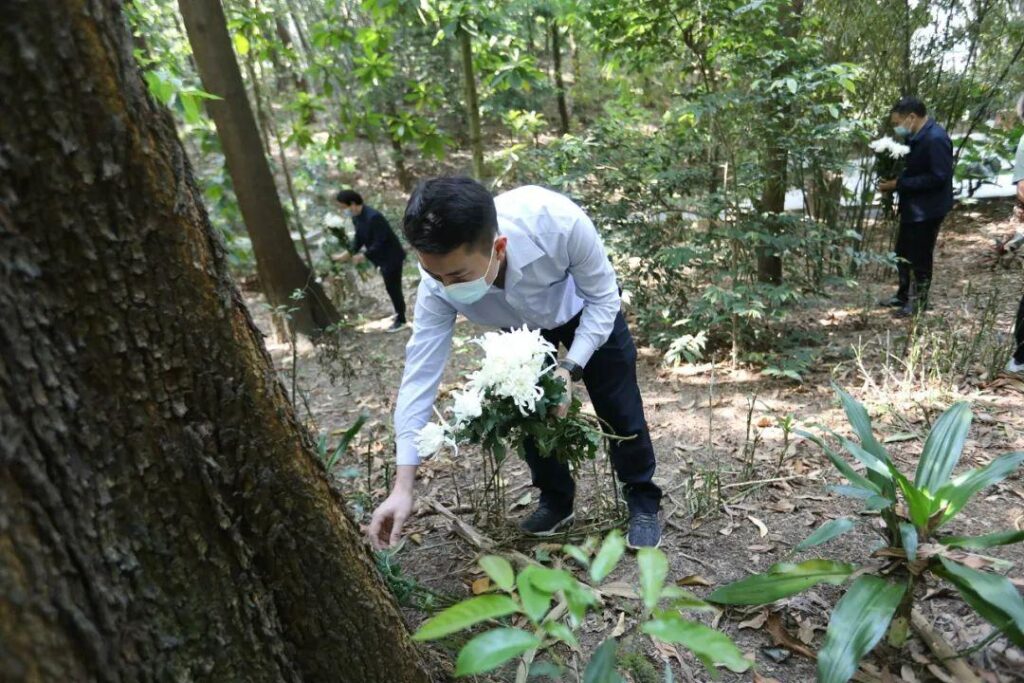 多地禁售封建迷信殡葬用品