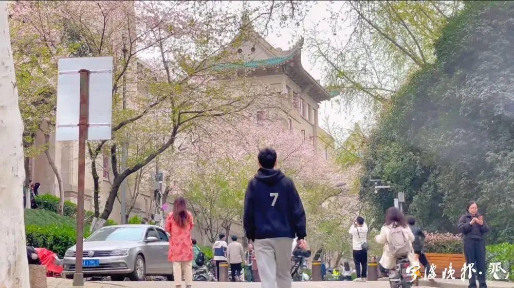 男子一天狂刷7大景点 次日准时上班